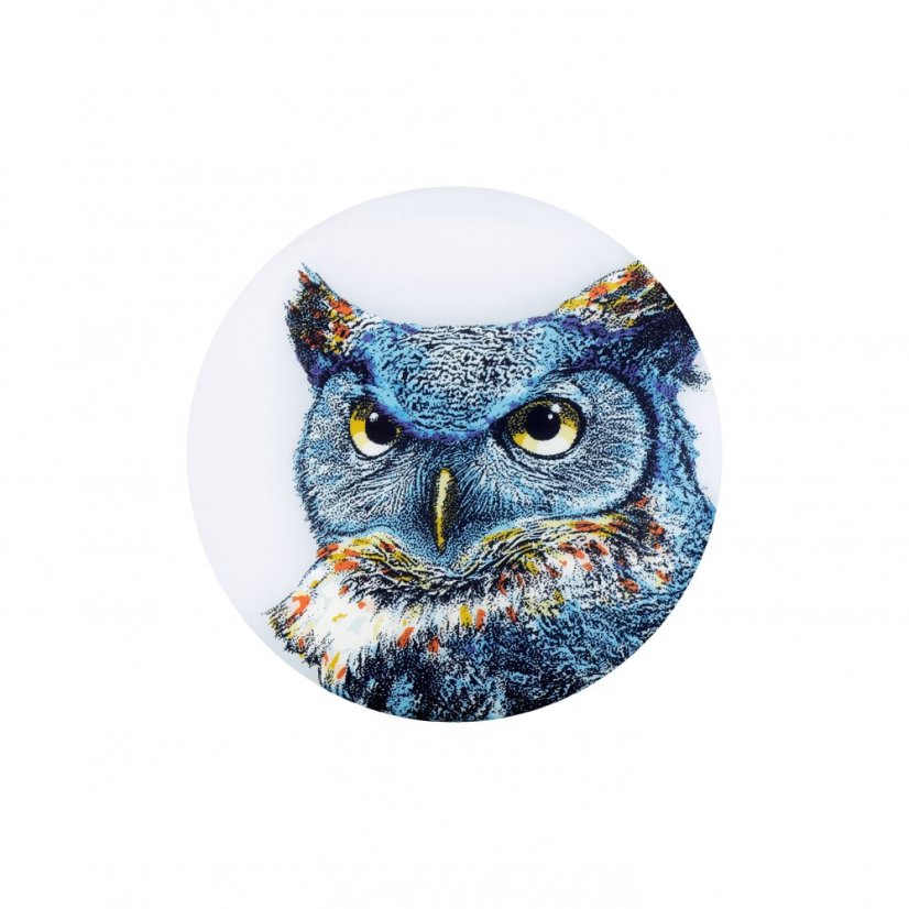 Wingman UFO Owl