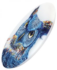 waboba wingmanufo 2020 owl side YRcplZk