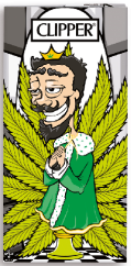 CHESS WEED 1 SOLO
